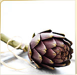 Artichokes